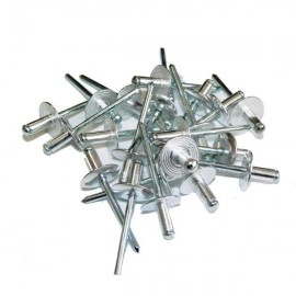 Rivets