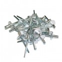 Rivets